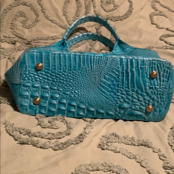 Authentic Brahmin - Picture 5 of 8